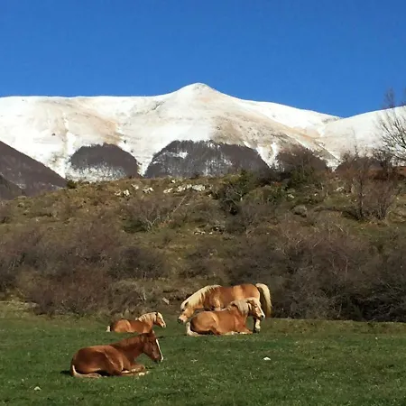 Casa di campagna Sperandini *